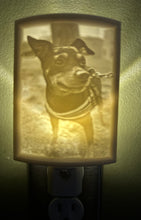 Load image into Gallery viewer, 3D Printed Custom Night Light