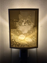 Load image into Gallery viewer, 3D Printed Custom Night Light
