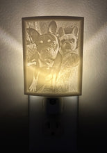 Load image into Gallery viewer, 3D Printed Custom Night Light