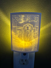 Load image into Gallery viewer, 3D Printed Custom Night Light